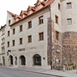 Фотографии гостиницы 
            Hotel David an der Donau