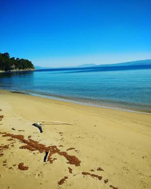 Фотография гостиницы Oro