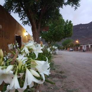 Фотографии мини отеля 
            Cardones de Molinos