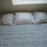 Фотография мини отеля B&B Greenhouse 37