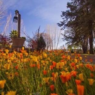 Фотографии мини отеля 
            Lujan De Cuyo B&B