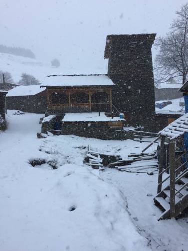 Фотография гостевого дома Guesthouse Tushuri Koshki