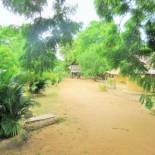 Фотография гостевого дома Humbhaha jungle nature eco resort