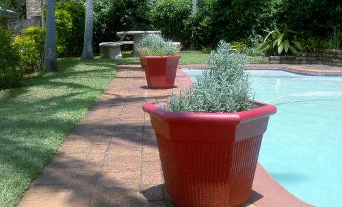 Фотография мини отеля Christie's Inn