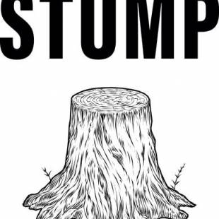 Фотографии гостиницы 
            The Stump