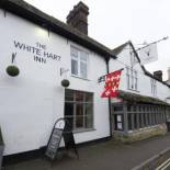 Фотография мини отеля The White Hart Inn