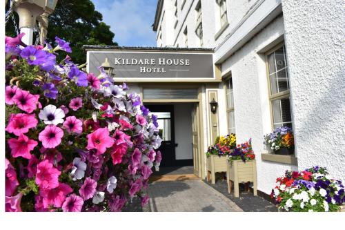 Фотографии гостиницы 
            Kildare House Hotel