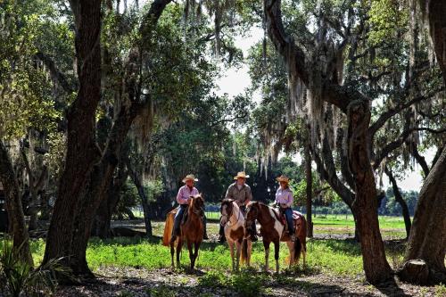 Фотографии гостиницы 
            Westgate River Ranch Resort & Rodeo