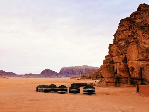 Фотографии мини отеля 
            Desert Bird Camp