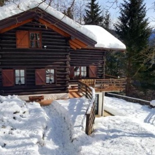 Фотография гостевого дома Chalet “In dai Guriuz”