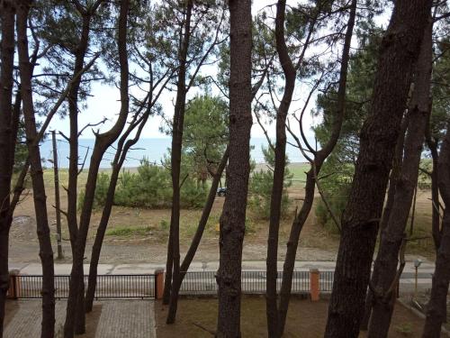 Фотография мини отеля Алик