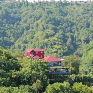 Фотография гостевого дома Zelenyy Ray Guest House