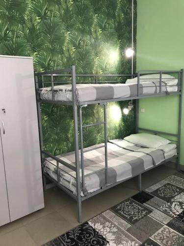 Фотография хостела Green hostel