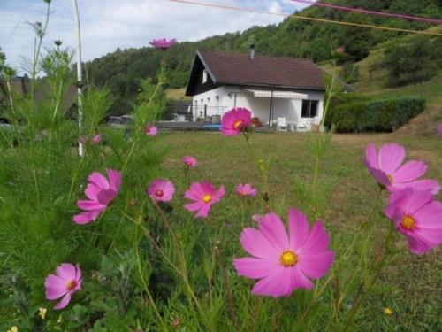 Фотографии гостевого дома 
            Gîte La Bresse, 2 pièces, 3 personnes - FR-1-589-168