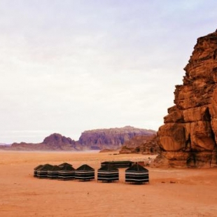 Фотография мини отеля Desert Bird Camp