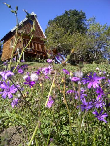 Фотография гостевого дома A Stone's Throw Accommodation