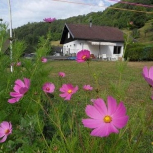 Фотография гостевого дома Gîte La Bresse, 2 pièces, 3 personnes - FR-1-589-168