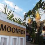 Фотография гостиницы Moon Fox CaféInn Art & Gallery