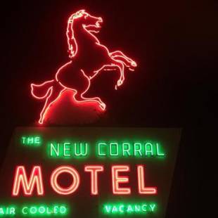 Фотографии мотеля 
            New Corral Motel