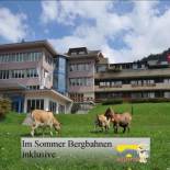 Фотография гостиницы Ferien- und Familienhotel Alpina Adelboden