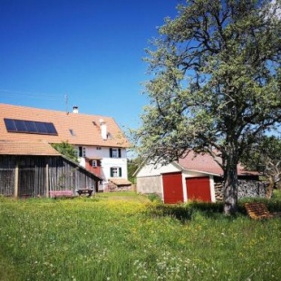 Фотография гостевого дома Ferienhaus Nordschwarzwald