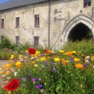 Фотографии мини отеля 
            La Ferme des Templiers de Fléchinelle