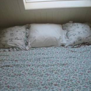 Фотографии мини отеля
B&B Greenhouse 37