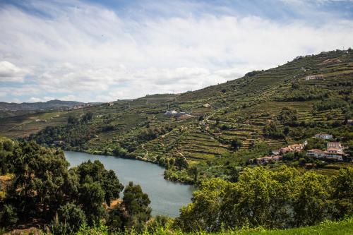 Фотография гостевого дома DouroParadise