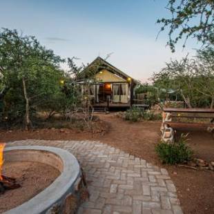 Фотографии базы отдыха 
            Mountain View Safari Lodge