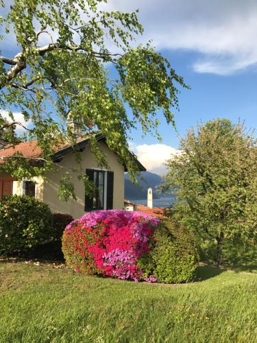 Фотография гостевого дома Le Betulle