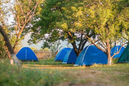 Фотография кемпинга Kanchaqar