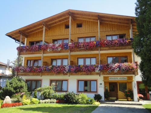 Фотография гостевого дома Pension Alpina