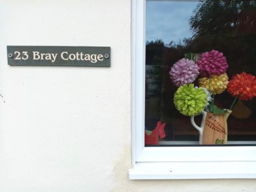 Фотография гостевого дома Bray Cottage