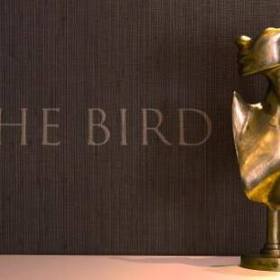 Фотографии гостиницы 
            Hotel The Bird