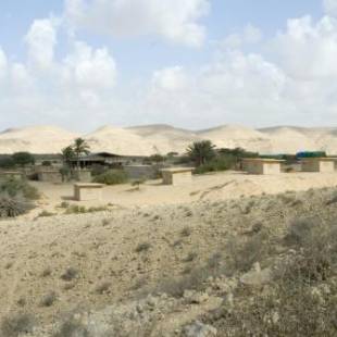 Фотографии кемпинга 
            Negev Camel Ranch