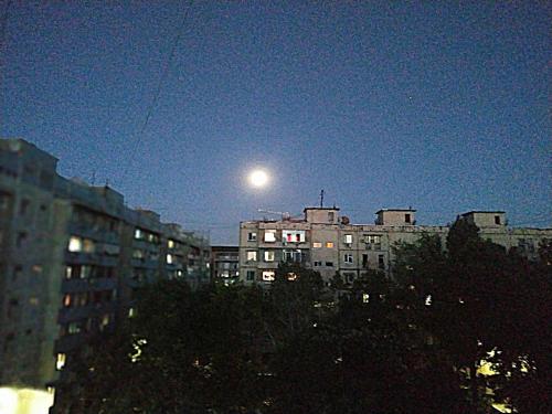 Фотография гостевого дома Apartment 7A