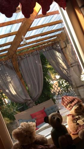 Фотография гостевого дома Chez steph et frank