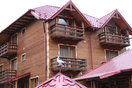 Фотография гостиницы Дарьяна