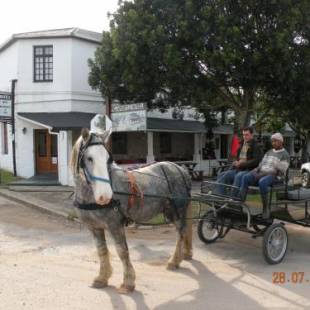 Фотографии гостевого дома 
            The Historic Pig and Whistle Inn