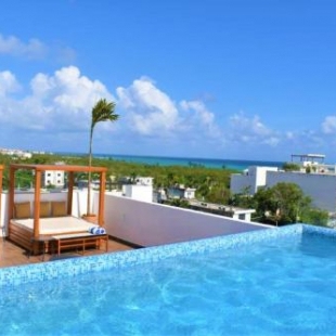 Фотография гостиницы Terrasse Hotel Playa del Carmen