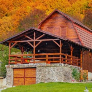 Фотография гостевого дома Casă de vacanță MIHAI