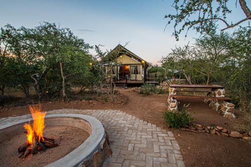 Фотография базы отдыха Mountain View Safari Lodge