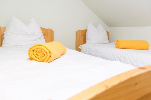 Фотография гостевого дома Apartma med vinogradi