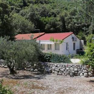 Фотографии гостевого дома 
            Seaside holiday house Cove Vela Prapratna (Peljesac) - 9486