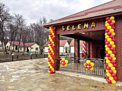Фотография гостиницы Селена
