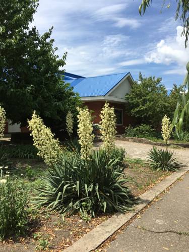 Фотография мини отеля У Филина