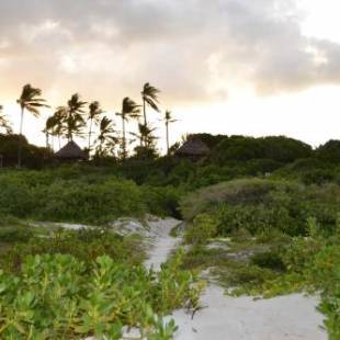 Фотографии мини отеля 
            Watamu Beach Cottages B&B