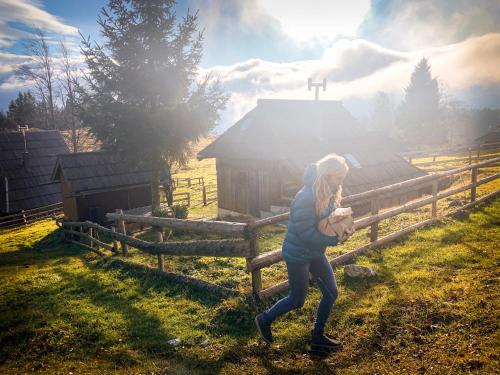 Фотографии базы отдыха 
            Suška Koča