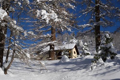 Фотографии гостиницы 
            Rifugio Baita Gimont