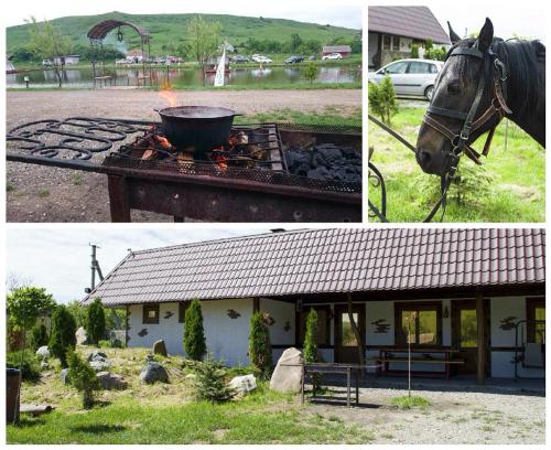 Фотография гостиницы Ранчо